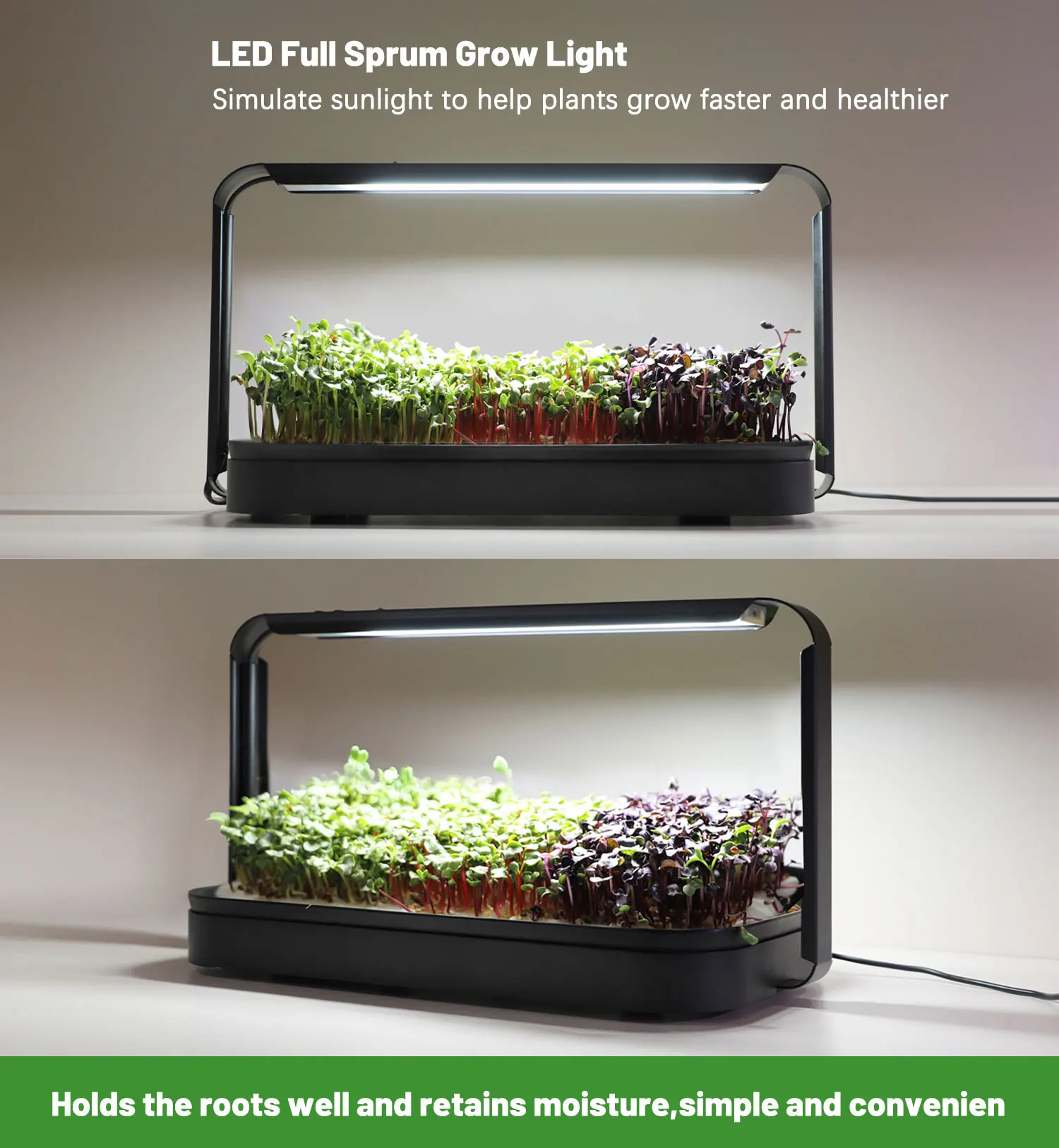 Garden sarter kit smart lettuce hydroponics lettuce grow indoor kit system