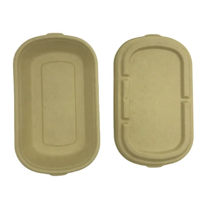 Eco Friendly Takeaway Fruit Meat Cake Food Tray Sugarcane Bagasse Lunch Box With Lid Biodegradable Bagasse Tray