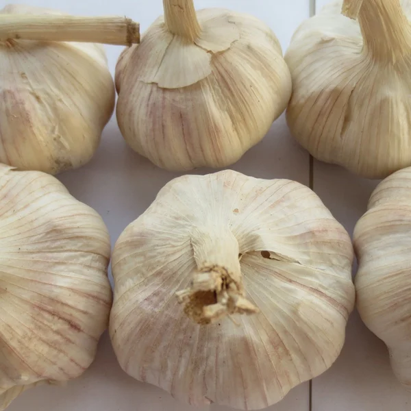 
Certificated HACCP HALAL exported fresh garlic white garlic 