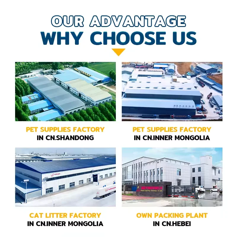 Hot Sale Direct Supply Dust Free High Absorption Long Lasting Tofu Cat Litter