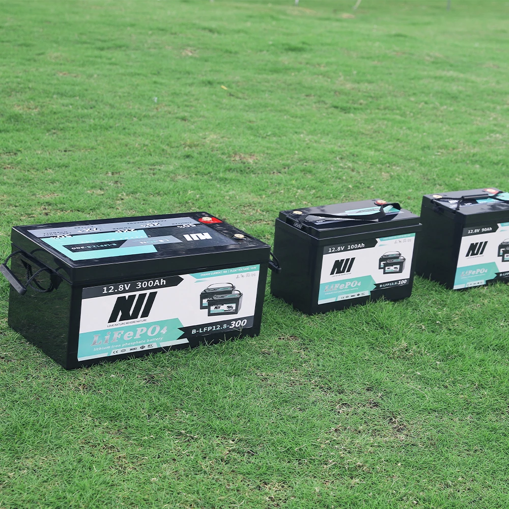 Bms 24ah 35ah 80ah 100ah 200ah 300ah Rechargeable Lifepo4 Lithium Iron Phosphate Battery Solar Pack 12v 100ah Batteries