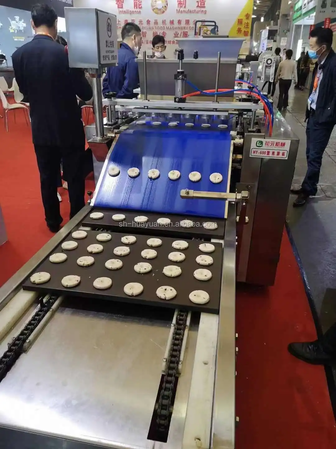 HYZDGJ-600 Industrial Processing Chocolate /Walnut/Cookies Machine Manufacturers