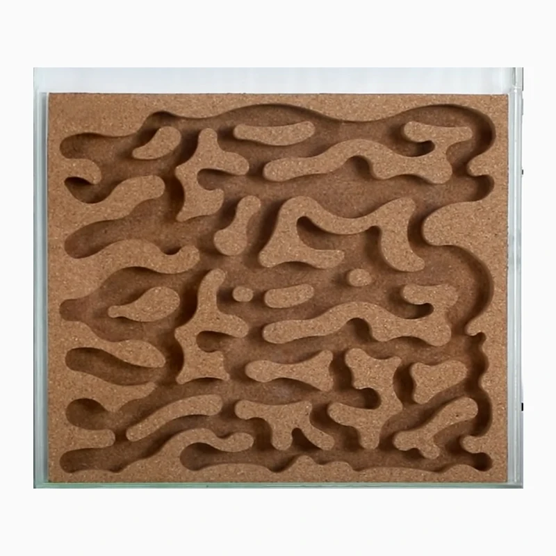 Ant Farm Box Home for Kids Study of Ant Behavior Ant Nest Farm Educational Formicarium