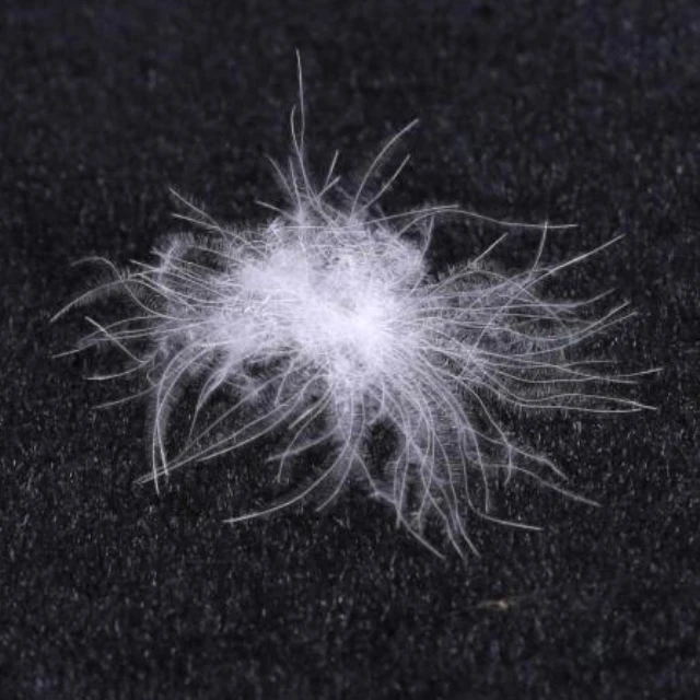 
Handmade Washed White Duck Down 95% Sticky 