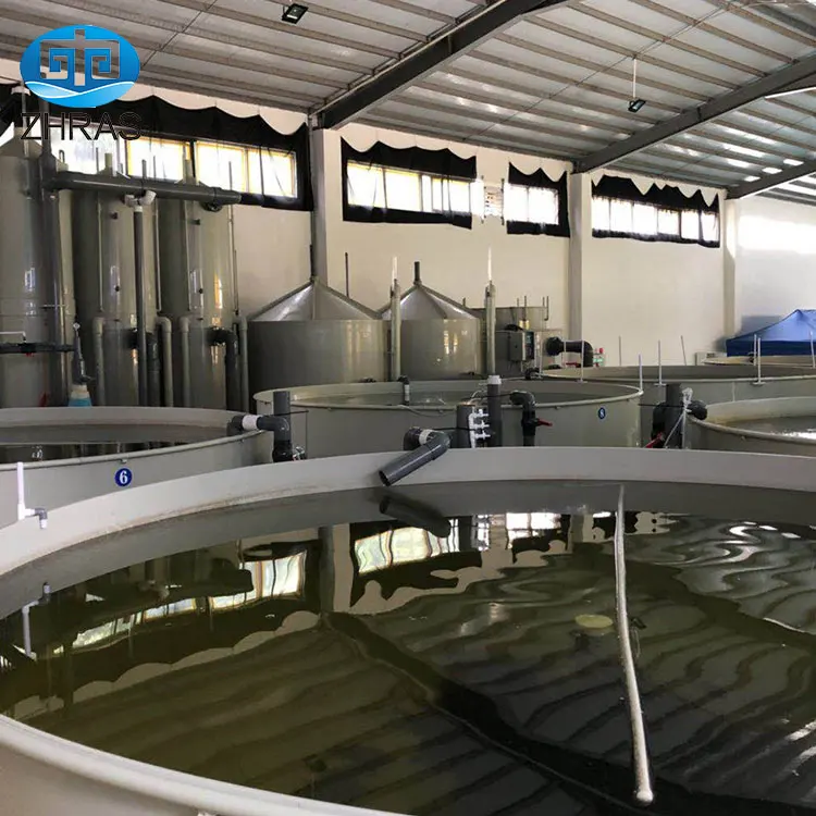 Wholesale price factory oem customized sale durable intensive ras recirculating aquaculture systems equipment