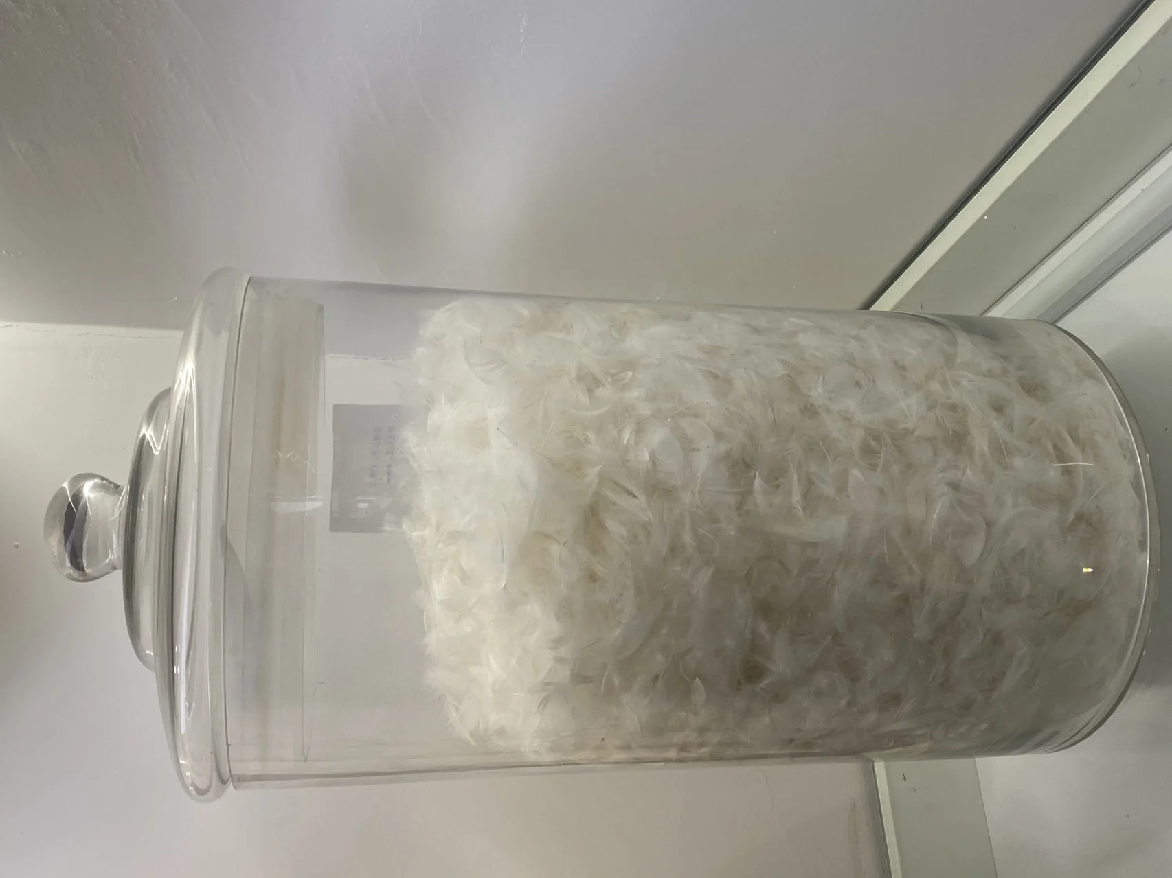 Reliable source manufacturers supply wholesale washed 90 white duck feather: no odor, large pure white