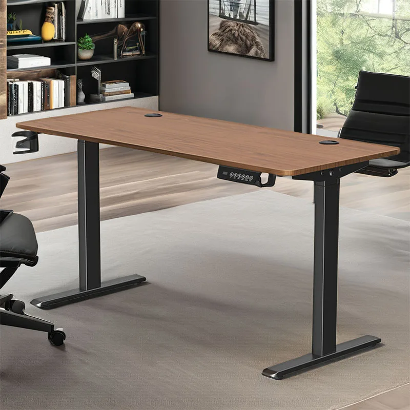 2024 регулируемый по высоте Электрический игровой стол стоячий стол компьютерный игровой стол мебель для дома