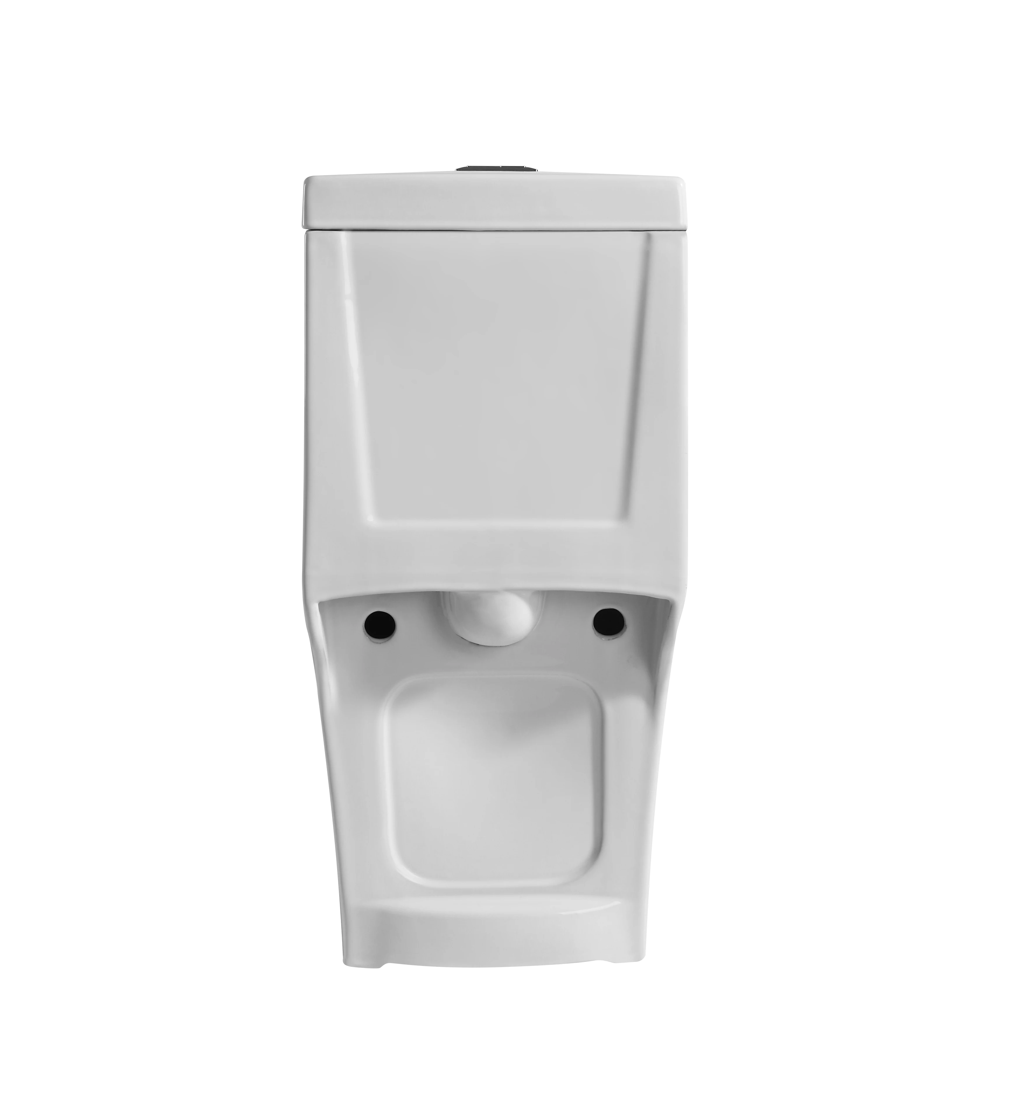 WC-1035 One Piece Toilet with Geberit or R&T Flush Valve Soft Closing Seat Cover Ramp Down Closer  Water Closet Toilet Bowl