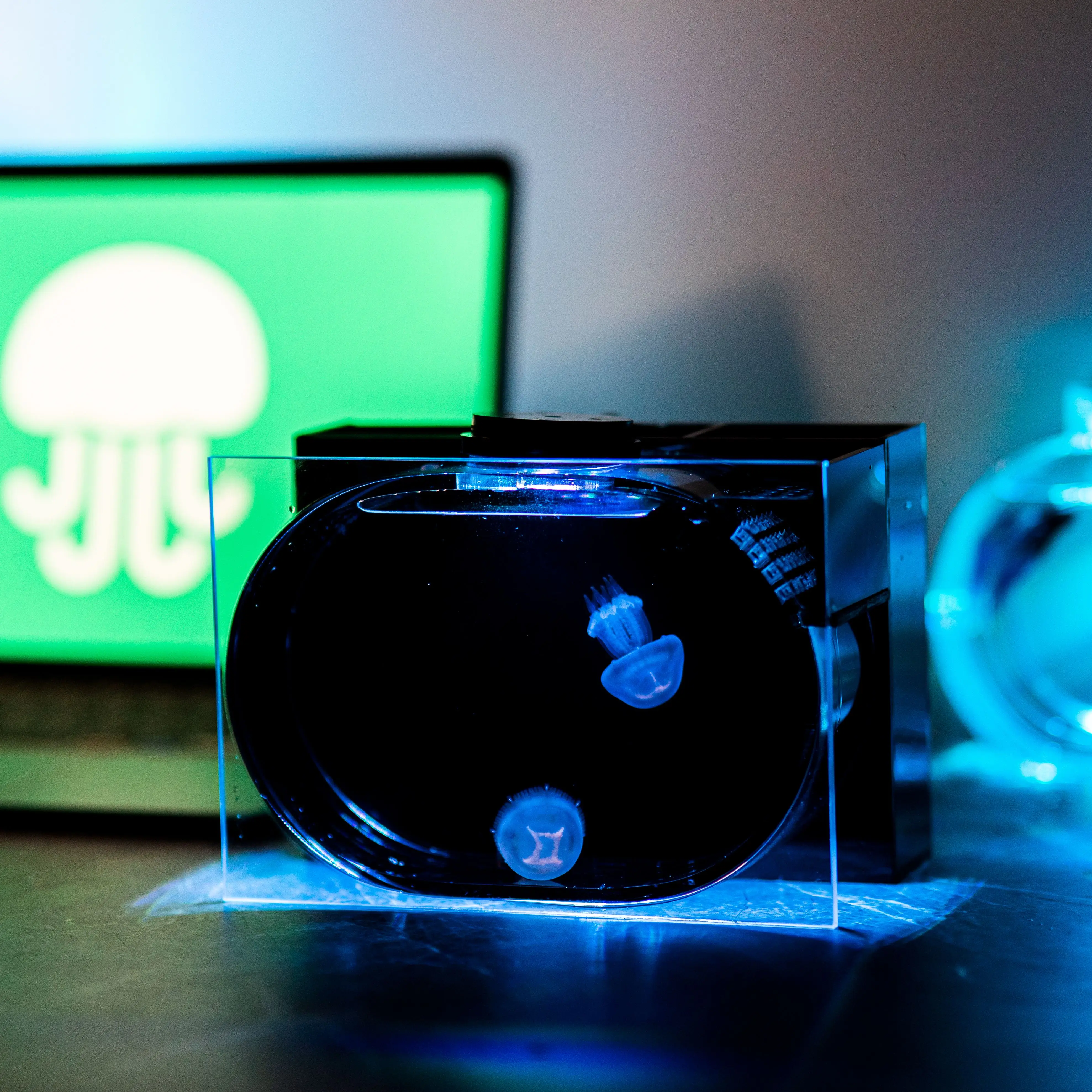 Tabletop viewing small aquarium simple Small fish breeding tank Transparent fish tank fish aquarium tank Aquariums