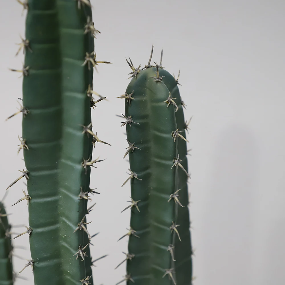 Artificial Wholesale Maceteros Para San Pedro Cactus Thailand Gymnocalycium Cactus Bailarin For Garden Landscape Decoration