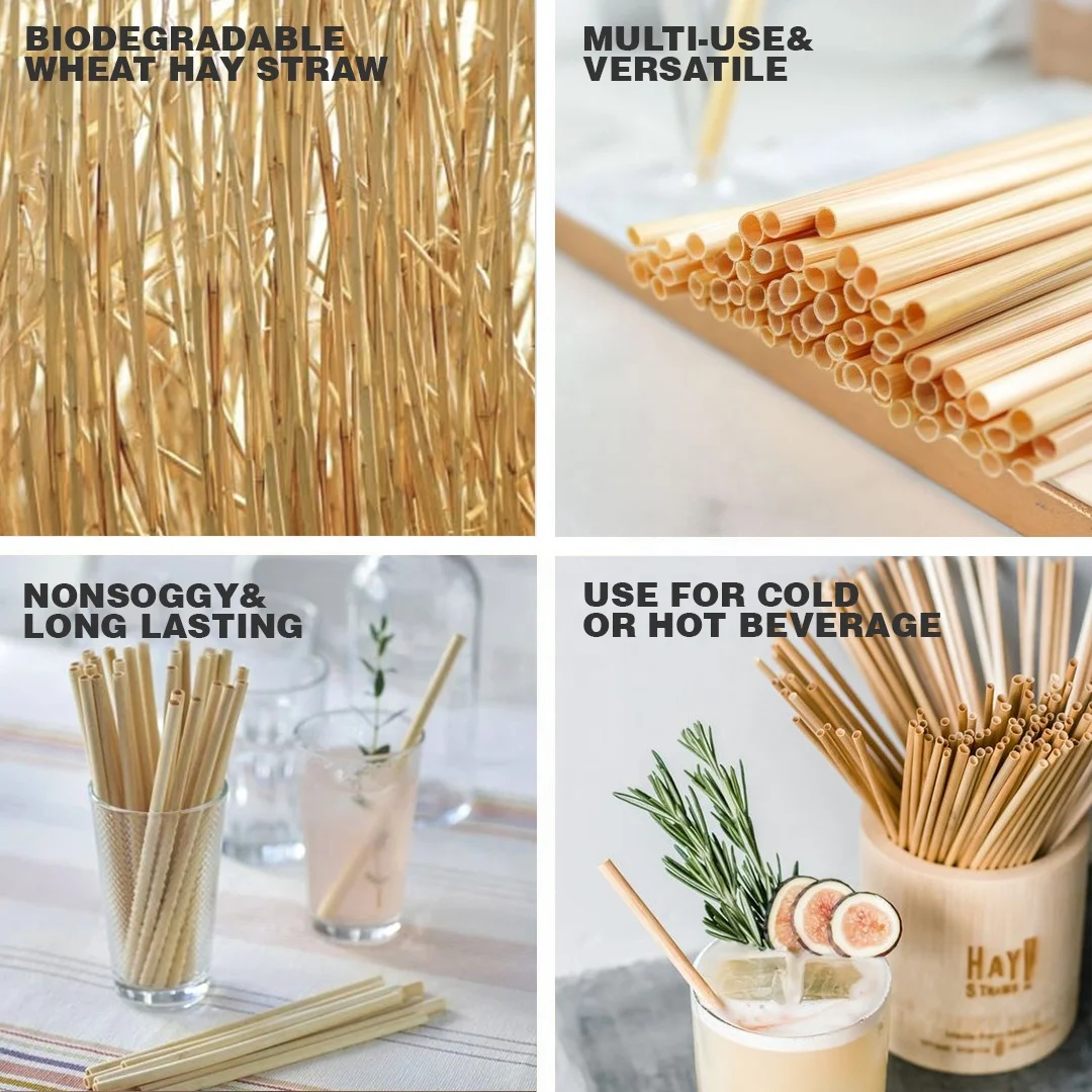 Custom Drinking Tool Biodegradable Compostable Natural Eco Wheat Straw Drinking Straws