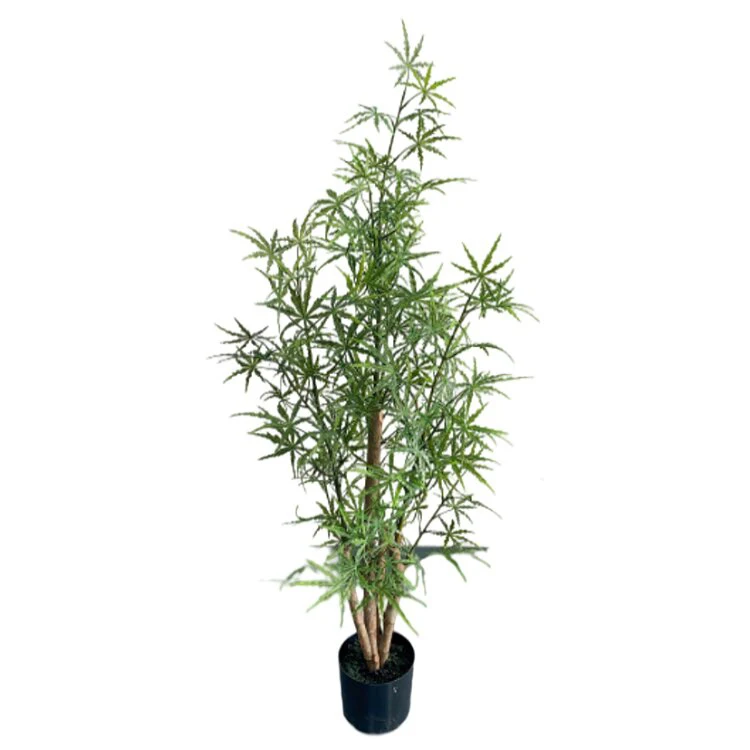 Real Touch 160cm High Dizygotheca Elegantissima Plant Tree Maceta Planta Artificial for Drawing Room Decor Arboles Trees