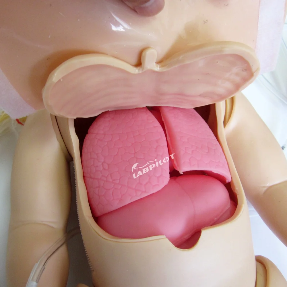 Full-functional Infant Nursing and CPR Training Manikin, Pediatric Care Dummy