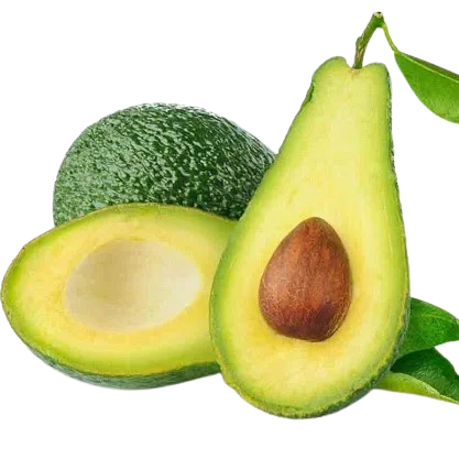 Лидер продаж-свежий авокадо высокого качества высокого стандарта для экспорта из Вьетнама