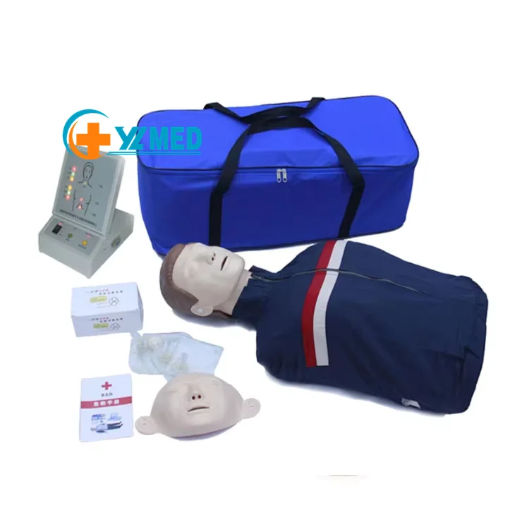 Медицинский манекен для аварийной тренировки, манекен человеческого половинного тела, манекен 190 для медицинского образования