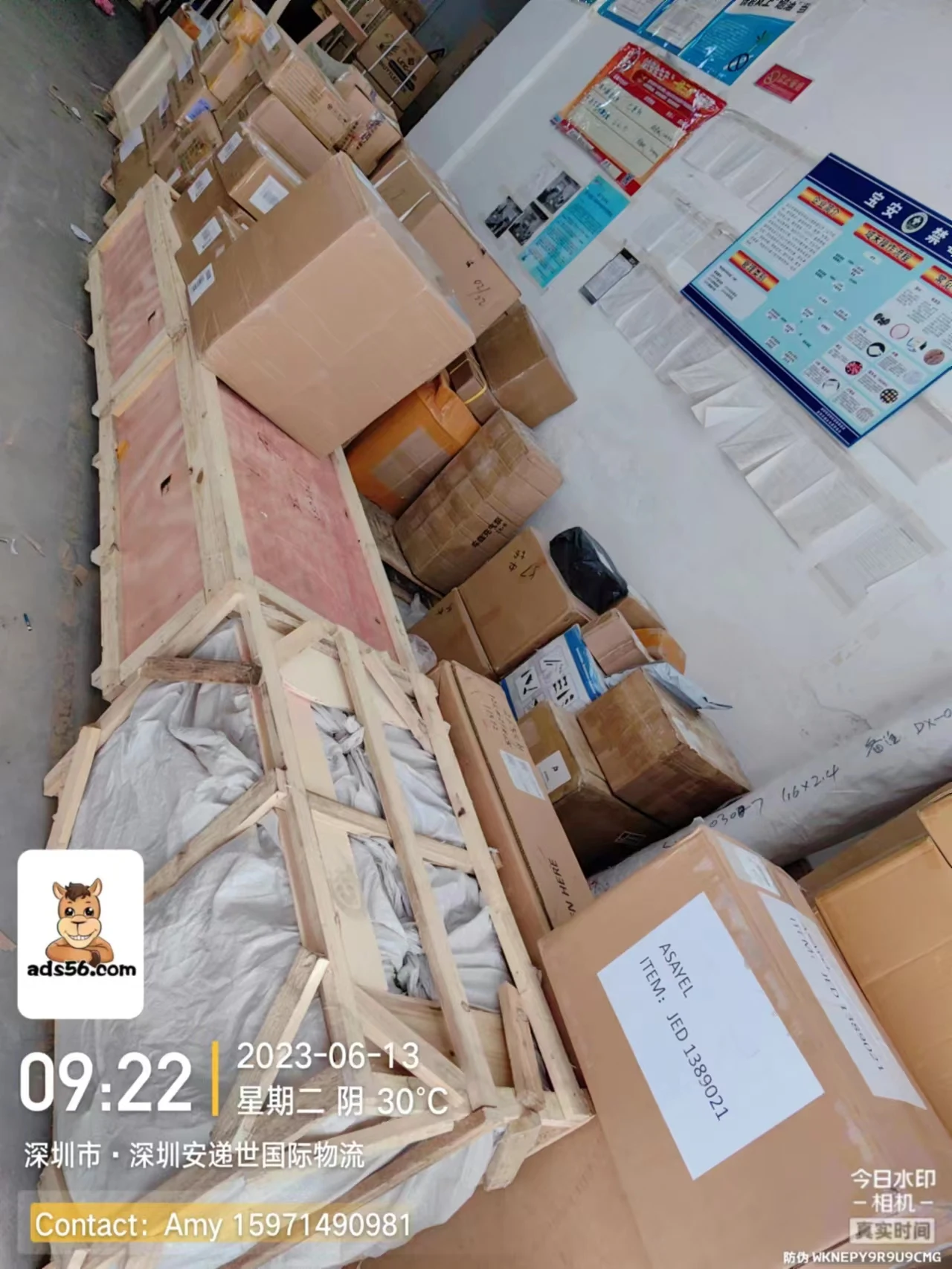 Экспресс-доставка от двери до для Morocco DHL UPS FEDEX --- Wechat:15971490981