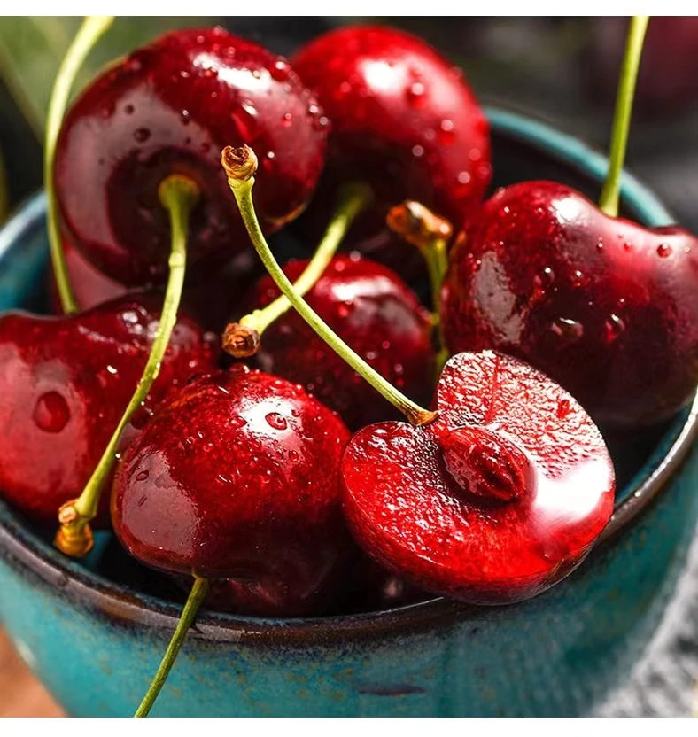 High grade delicious cherry natural fresh seasonal fruit cherry