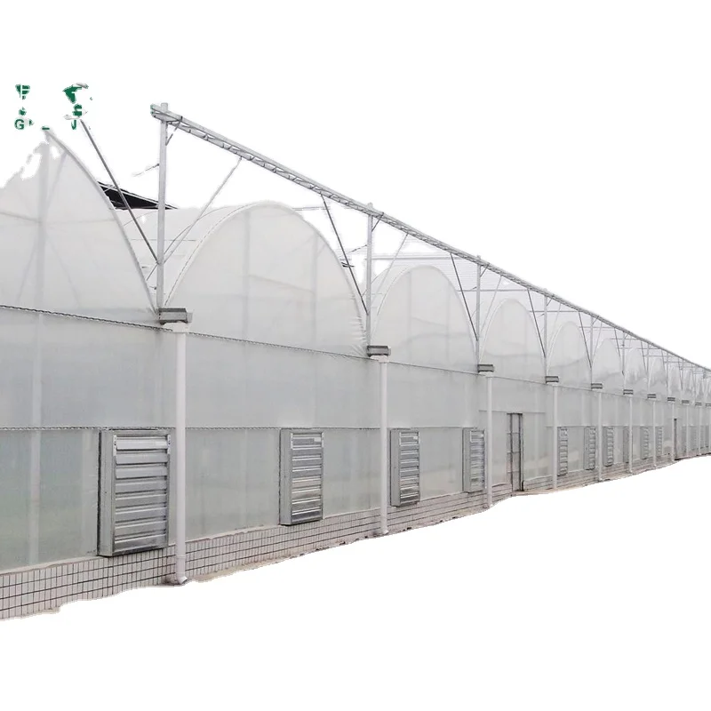 Multi Span plastic film Greenhouse with aquaponics with vertical grow tower for strawberry farm 200 micron film greenhouse