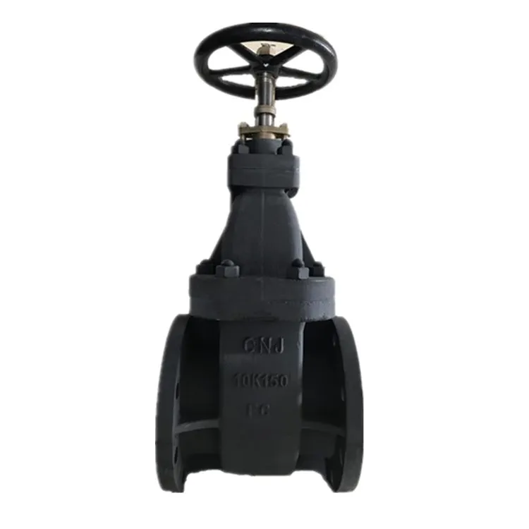 Hot Sale JIS Cast Iron Swing Type Check Valve Use Marine FC 5K 100A