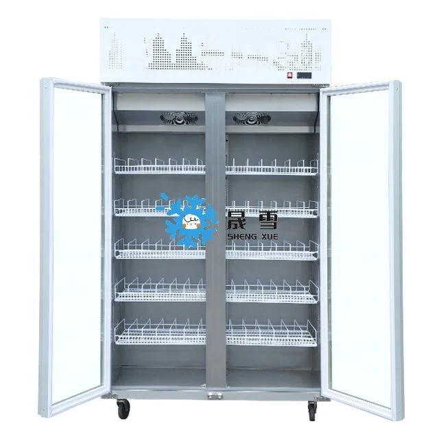 Single-Temperature Vertical Freezer with Glass Door Hypermarket Supermarket Cool Refrigerator for Displaying Frozen Chicken