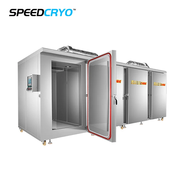 Простая установка шоковой заморозки IQF морозильник Малайзия дуриан с жидким азотом мгновенный морозильная камера