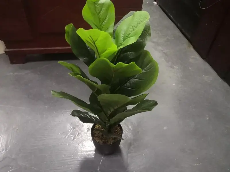 Artificial Plant Product Fiddle Leaf Plant Inspection Service Quality Control Service Third Party Inspection Company In China