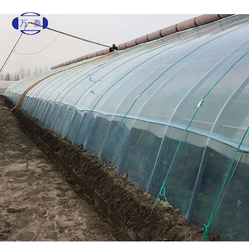 Factory price PO Film Single Span Greenhouse For Agriculture Easy Installation