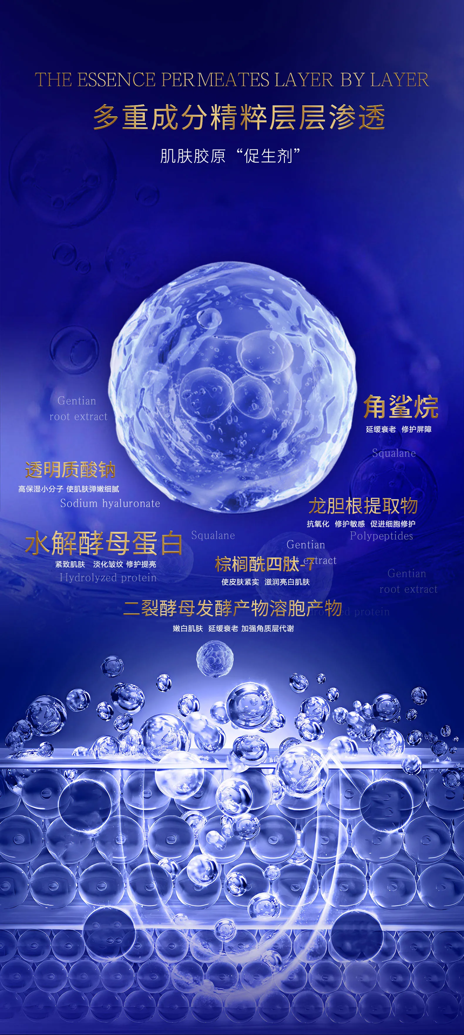 High Quality Emulsion ProtoProtein Repair Brightening and Firming Anti-Wrinkle Emulsion