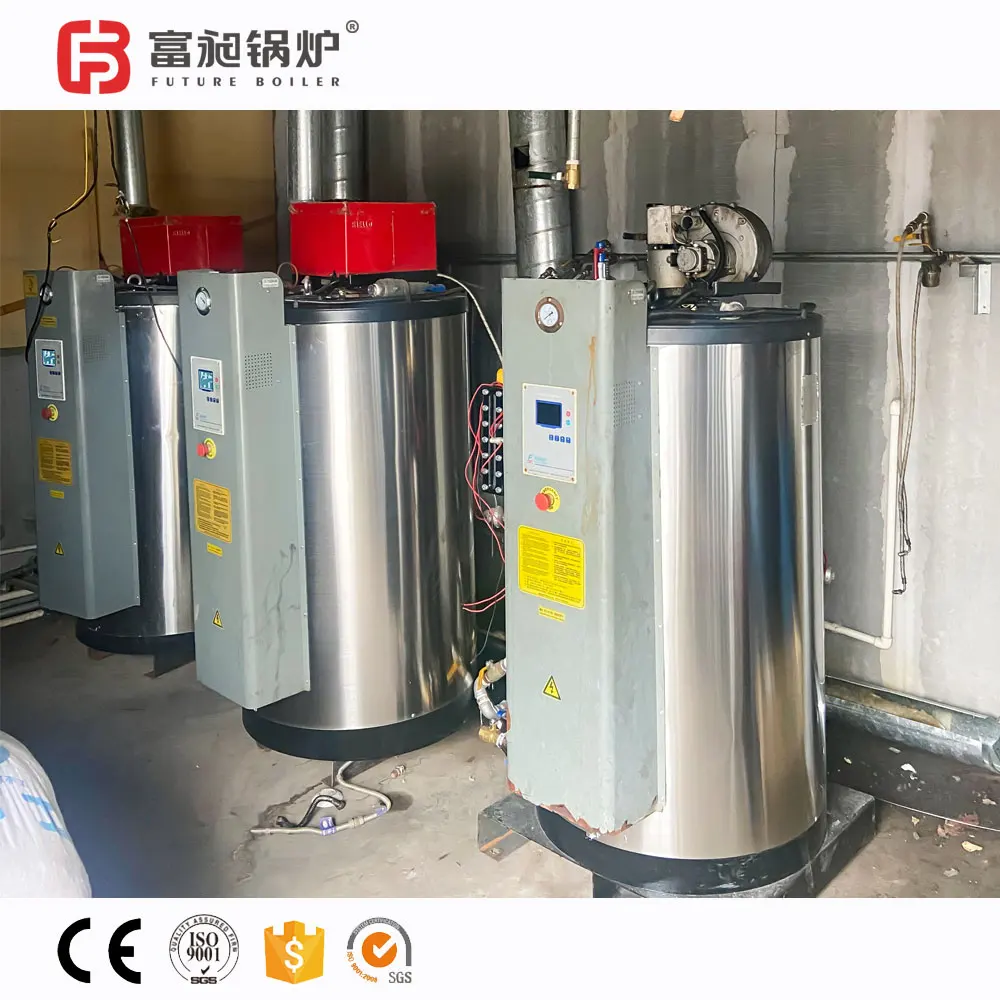 Boiler 100-500kg/H Package Boiler