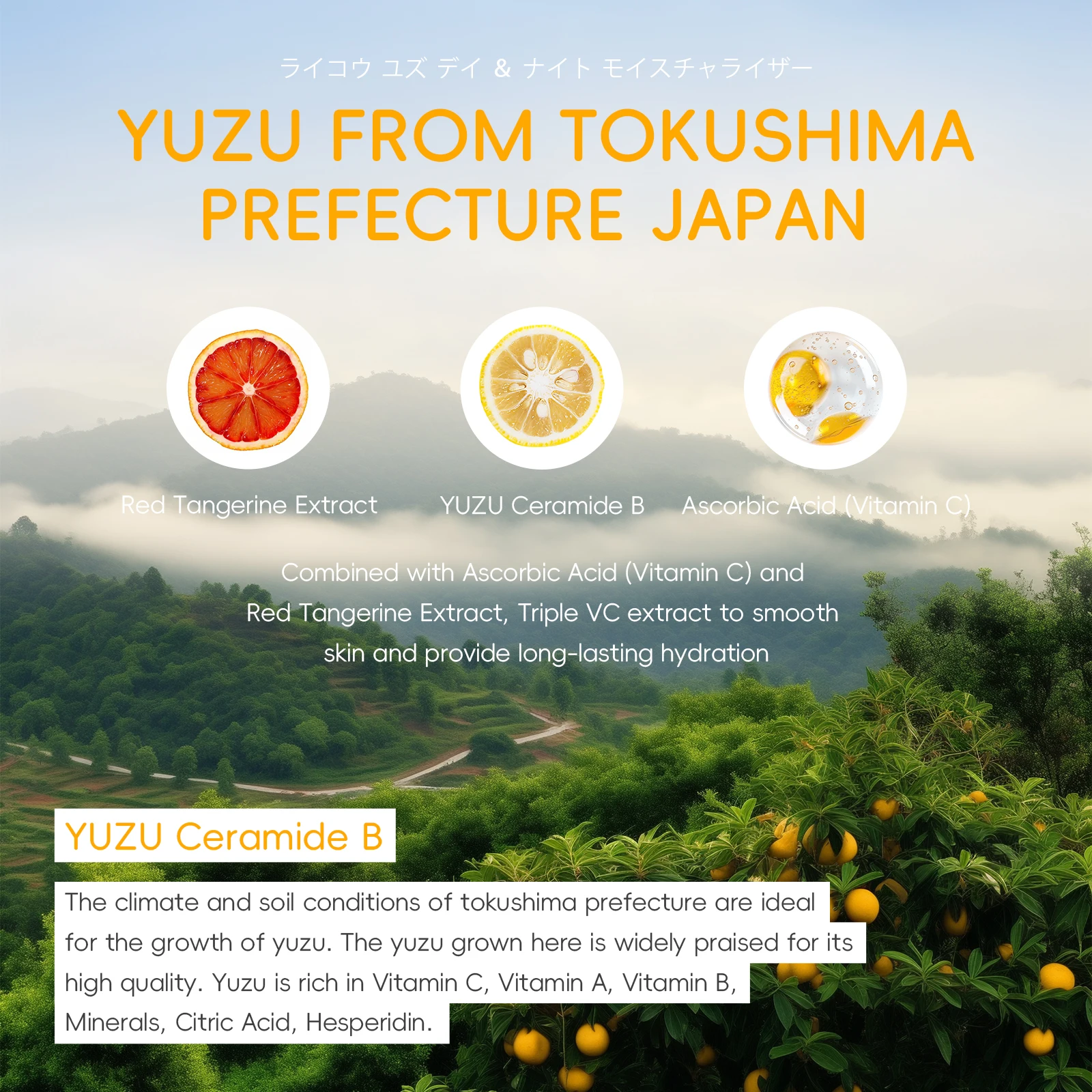 LAIKOU Japan Yuzu Day Night Moisturizer Cream 25g Beauty Products For Women Smoothing Softening Radiance Boosting VC Lotion