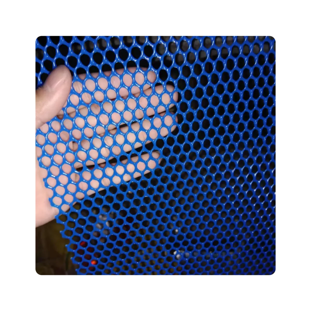 Plastic Poultry Chicken Aviary Netting Extruded Plastic Mesh for farm
