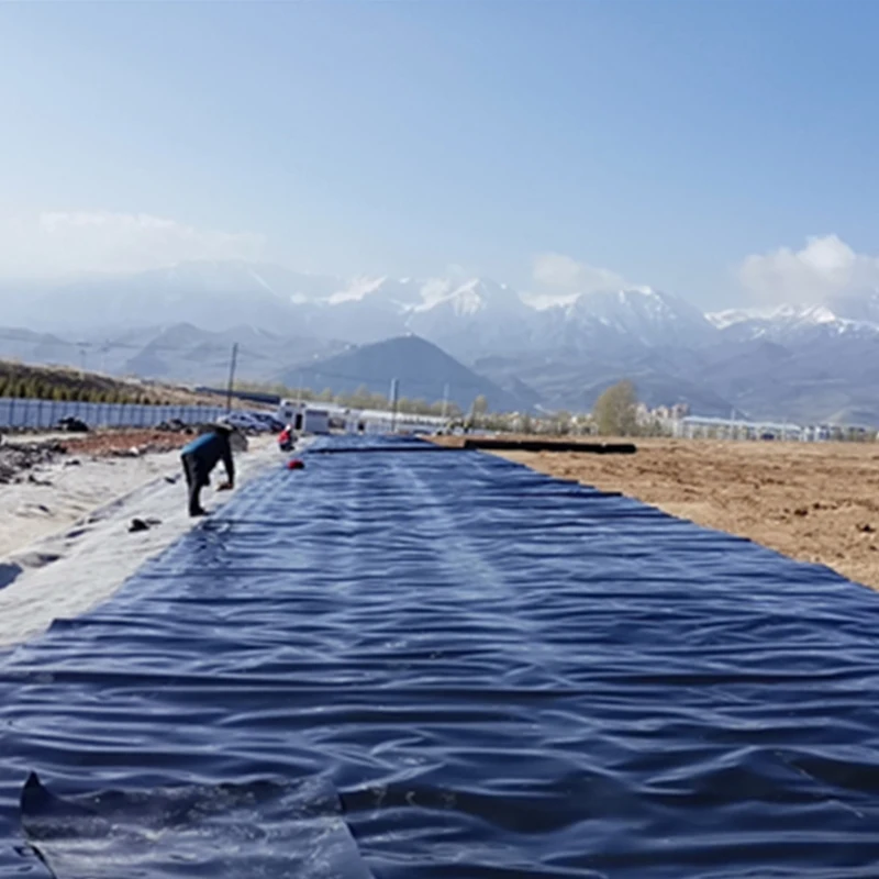 HDPE /LDPE /lldpe geomembrane pond liner