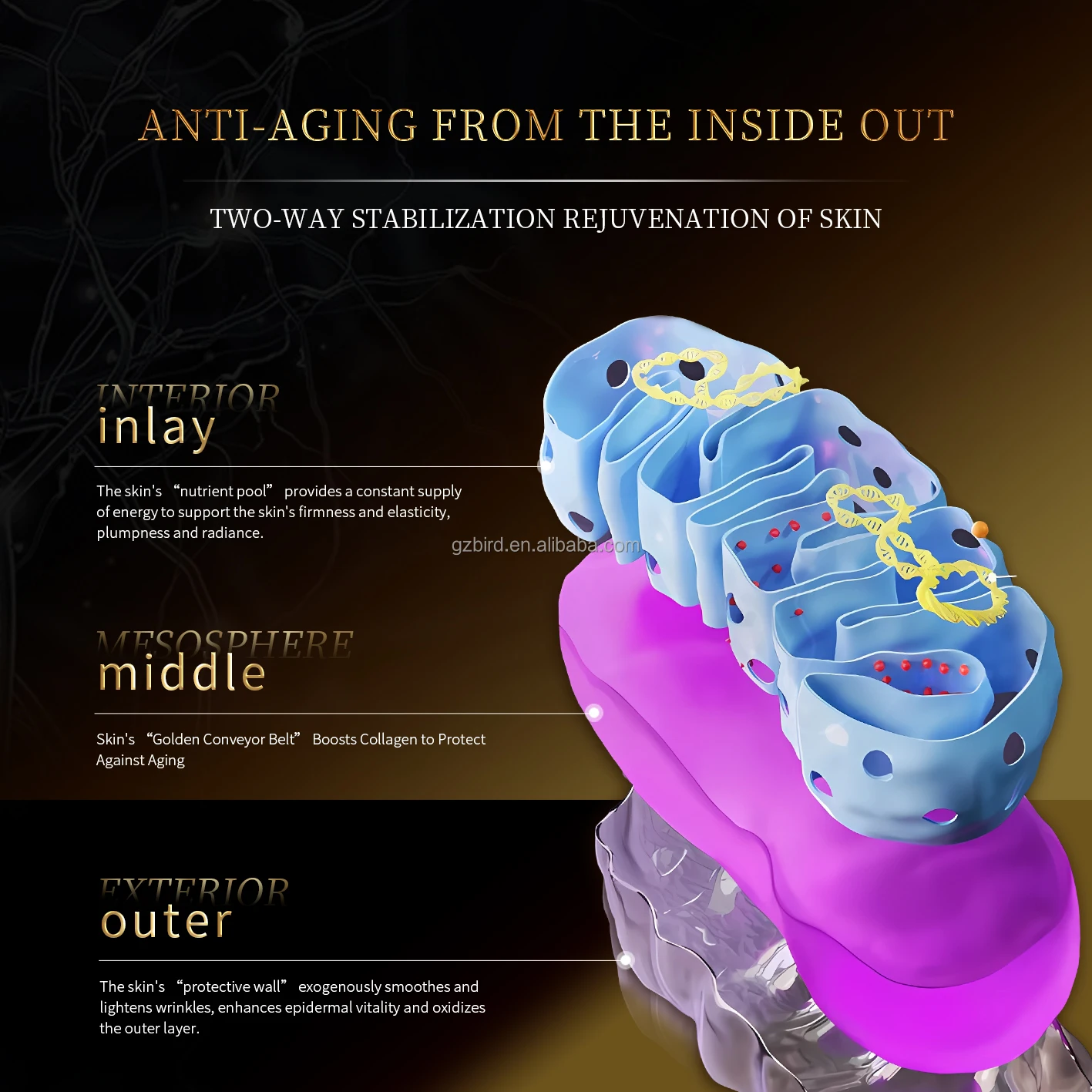 OEM Customized High-End Face Anti-Wrinkle Essence Cellular Youth Freeze Age Liquid Bottom Lifting Whitening Skin Care Products