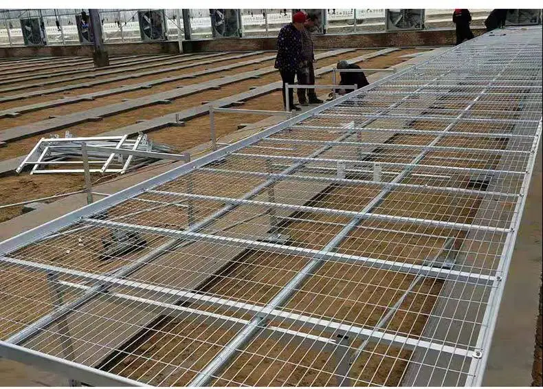 Hydroponic Greenhouse Equipment Hot Dip Galvanized Mesh
