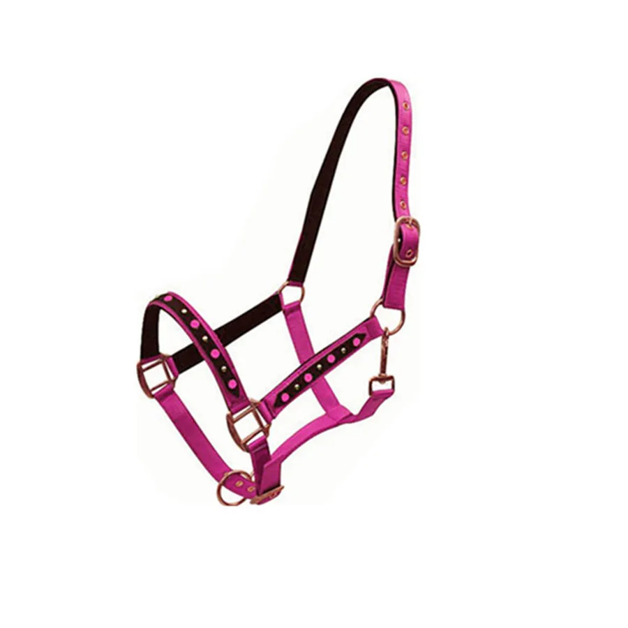 Equestrian Equipment Webbing Rainbow Horse Halter with hardware