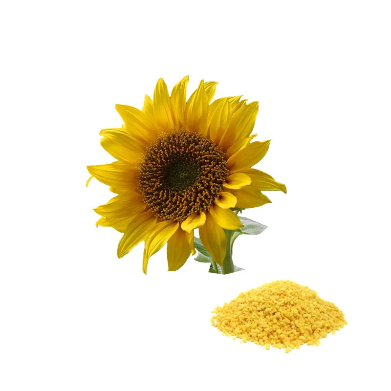 
free sample sunflower lecithin phosphatidylcholine 90% 