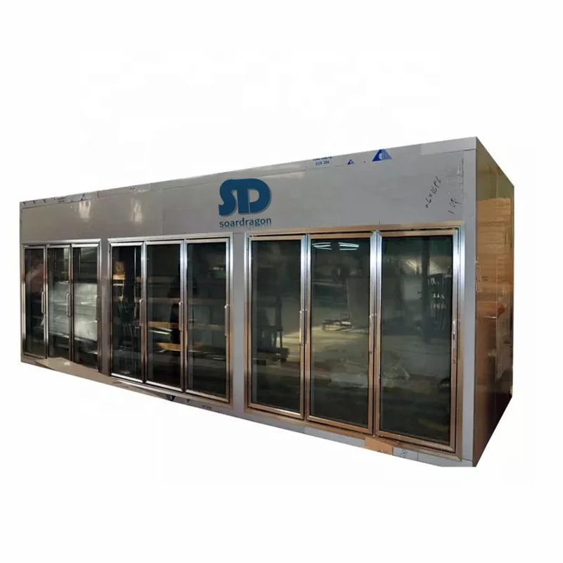 Soardragon glass door freezer storage cold room for frozen food with shelves / walk-in cooler