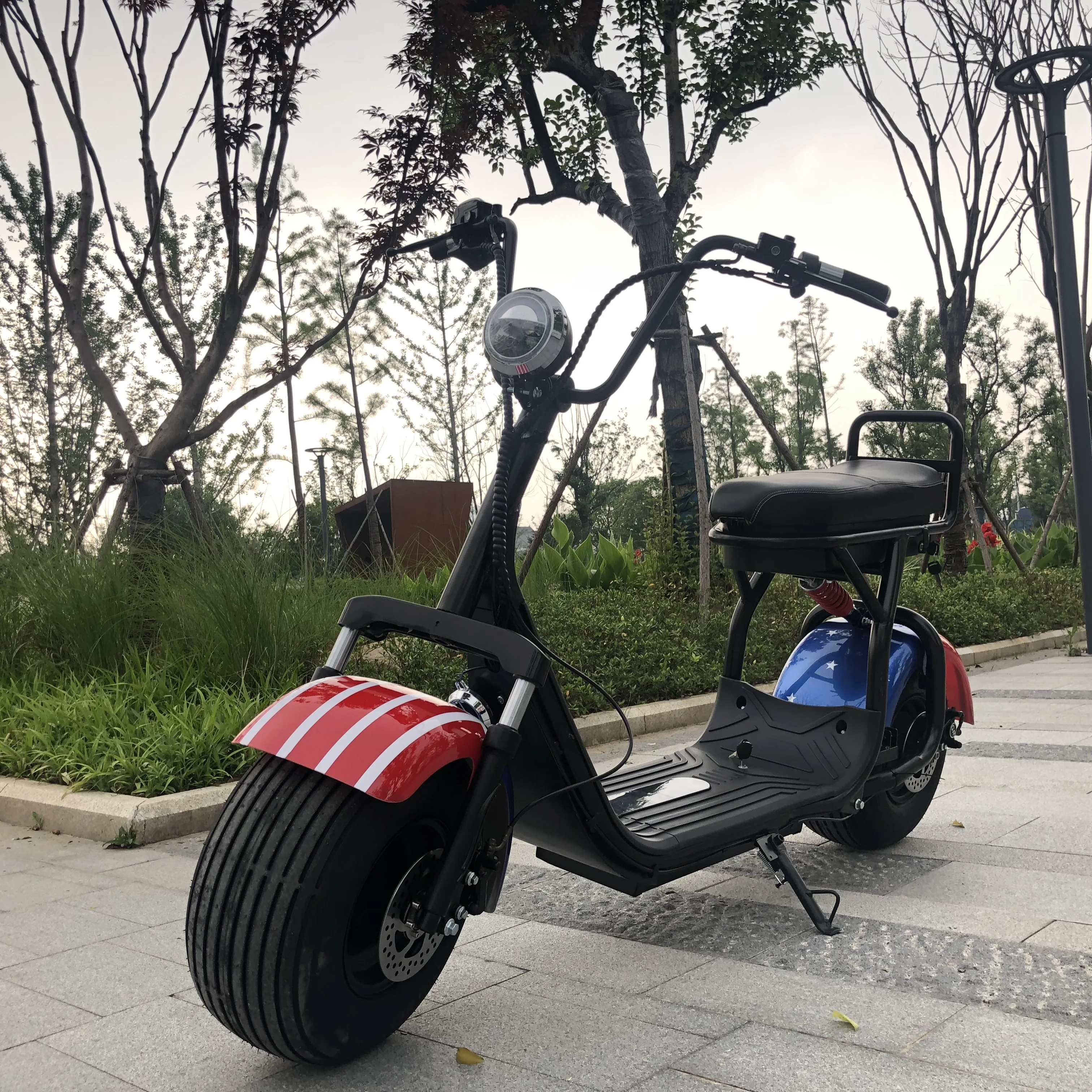 citycoco scooter _1.JPG