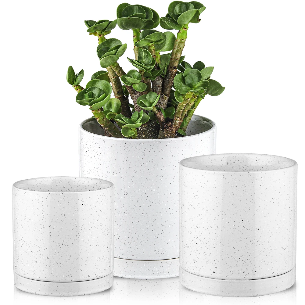 Chaozhou Manufacturer Ceramic Plant And Flower Pot With Stand Separating Tray On Sale For Planting