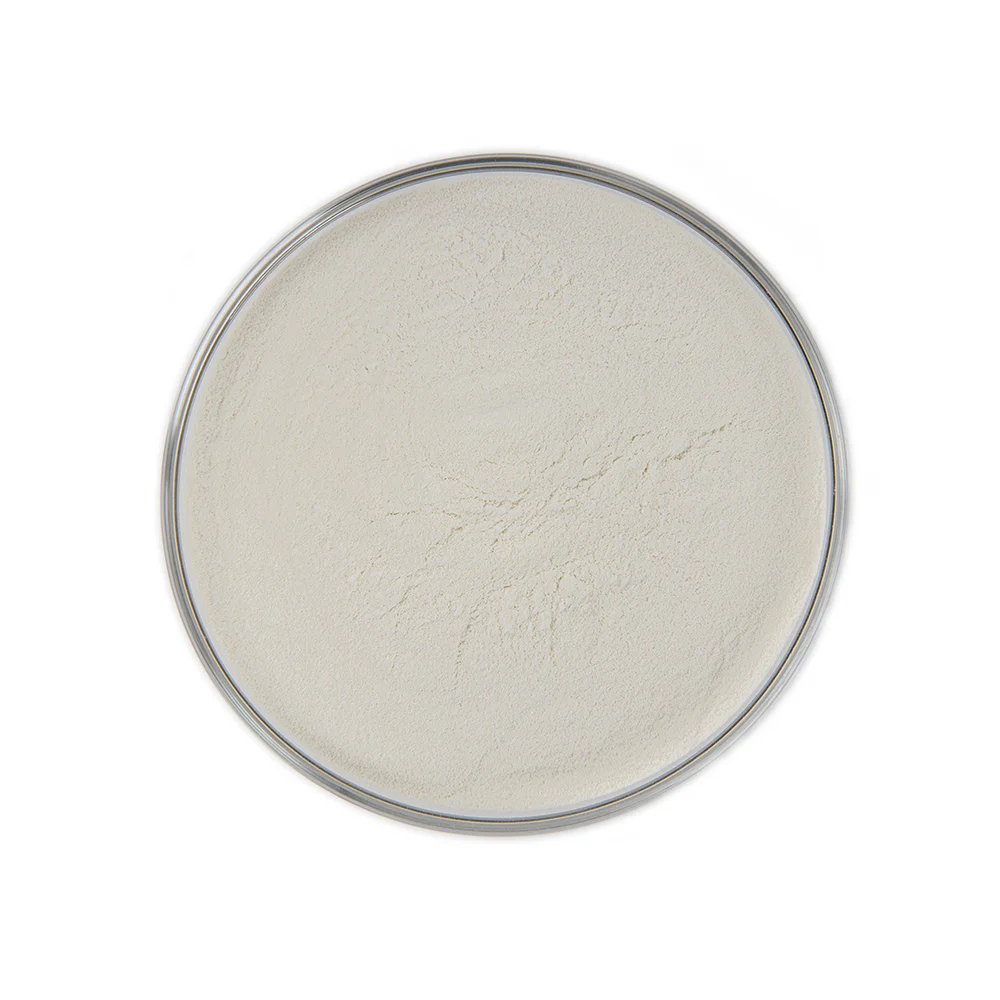 High Activity Enzyme 200,000 Alkaline Protease food grade protease enzyme