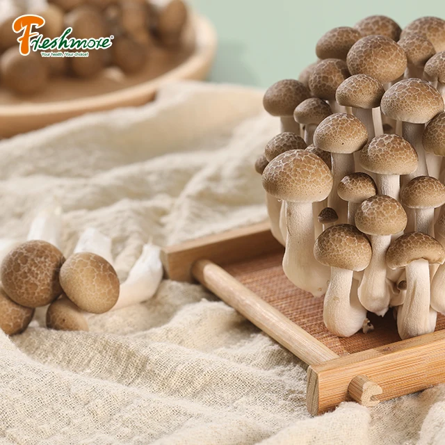 Купить свежие грибы онлайн готовка свежие грибы рядом со мной