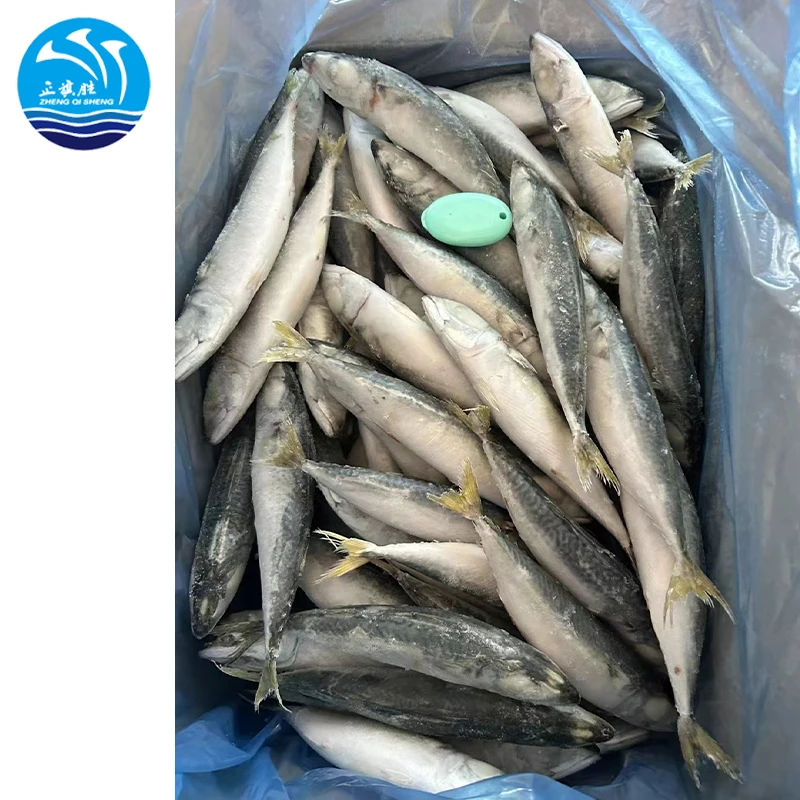 Seafood  manufacturer  Wholesale Fresh frozen Light catching IQF mackerel fish