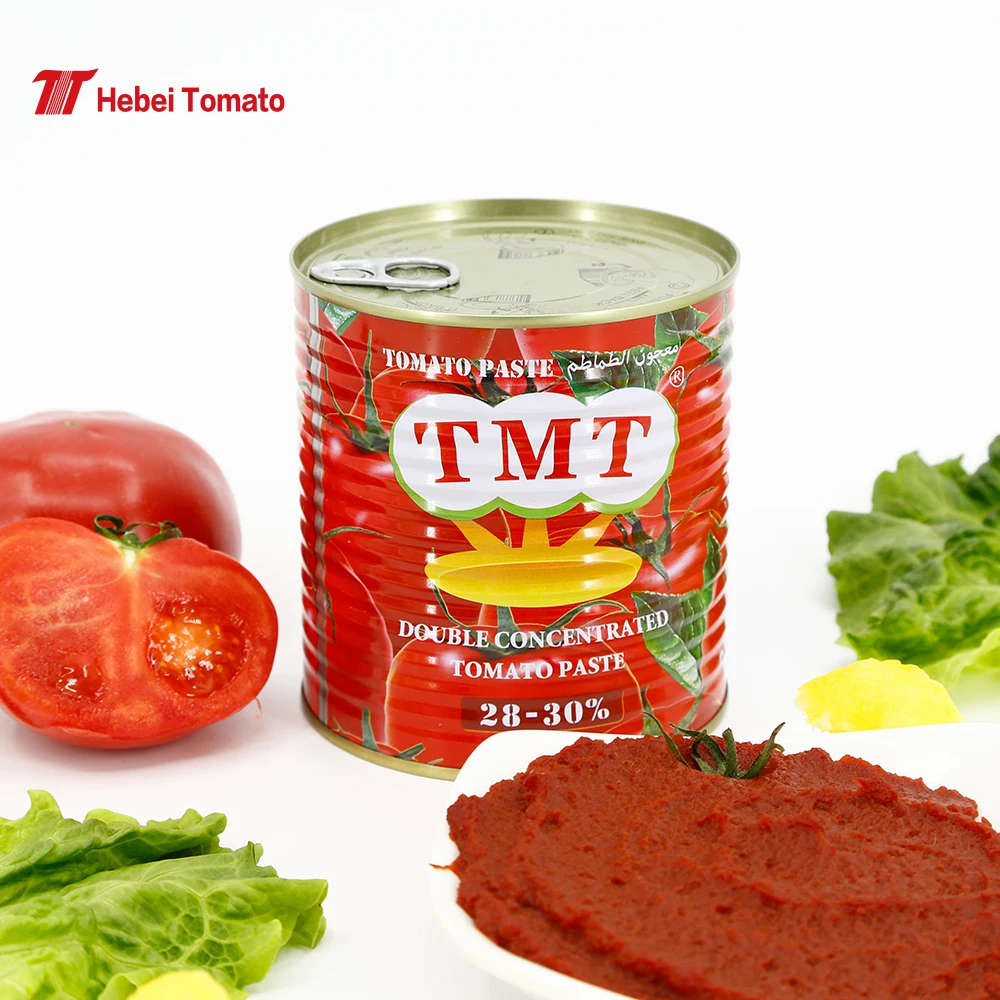 800g Best Brand Organic Canned Tomato Paste Manufacturer with Best Price