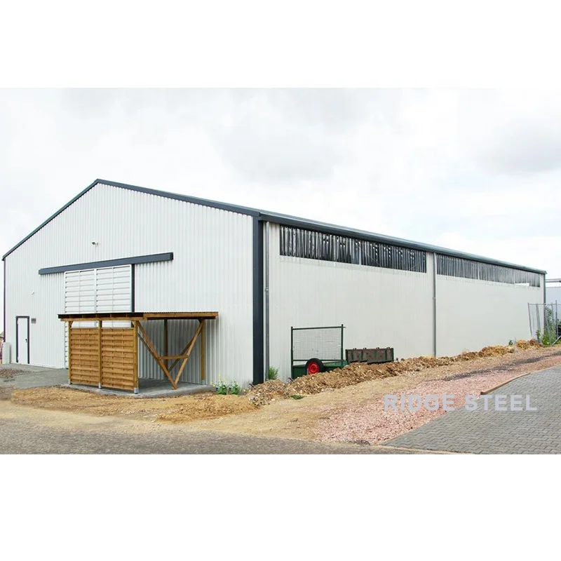 Customized Design Prefabricated Steel Structure Building At Low Cost Office Shopping Hall Workshop Warehouse