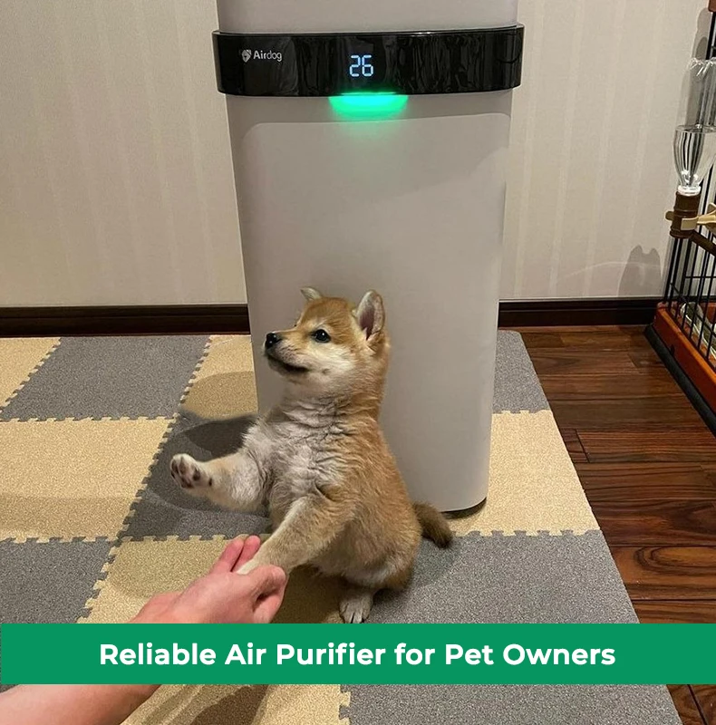 Airdog X5 Eliminating Odors Clean Air Purifier for Home Allergies Pets Hair