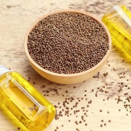 Perilla Seed Oil With High Content Of Linolenic Acid In Medicine And Food