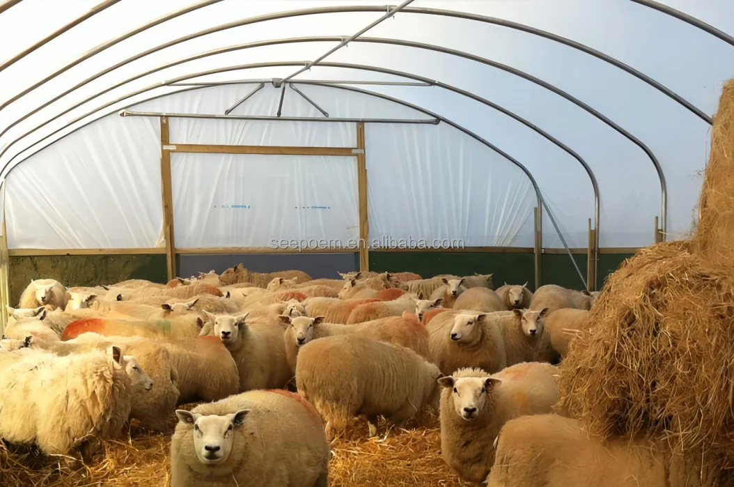 Factory Direct Sale  Storage Tent Industrial Warehouse Steel Fabric Covered Building for cow sheep pig farming Cattle Barns