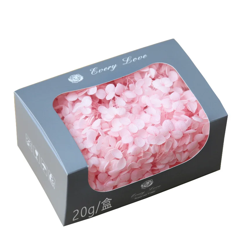 Wholesale Preserved Flower Anna Hydrangea 20g/box Flower Wedding Hair Accessories