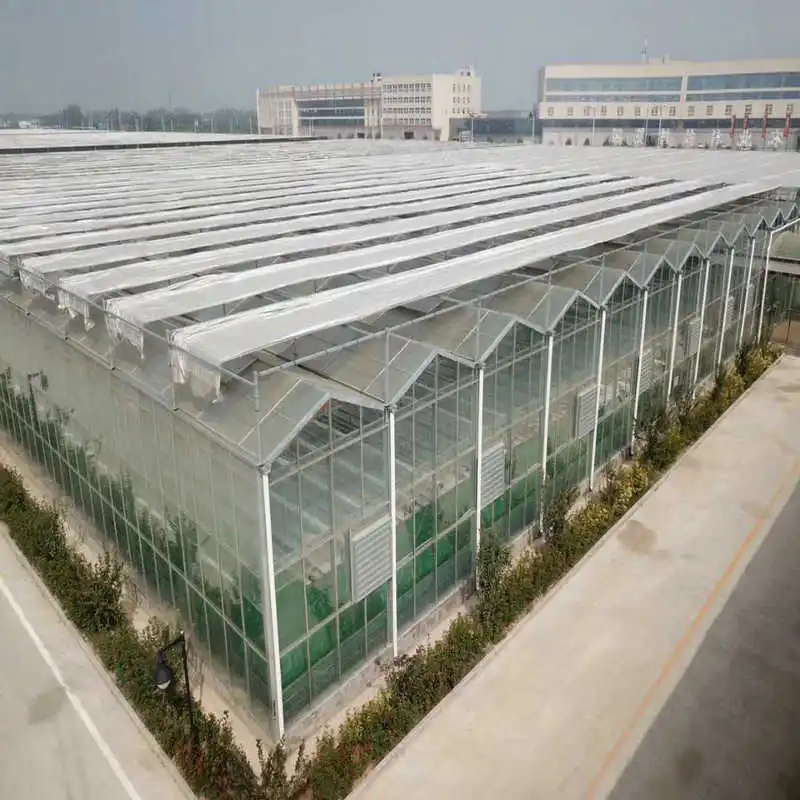 Glass vegetables greenhouse steel frame