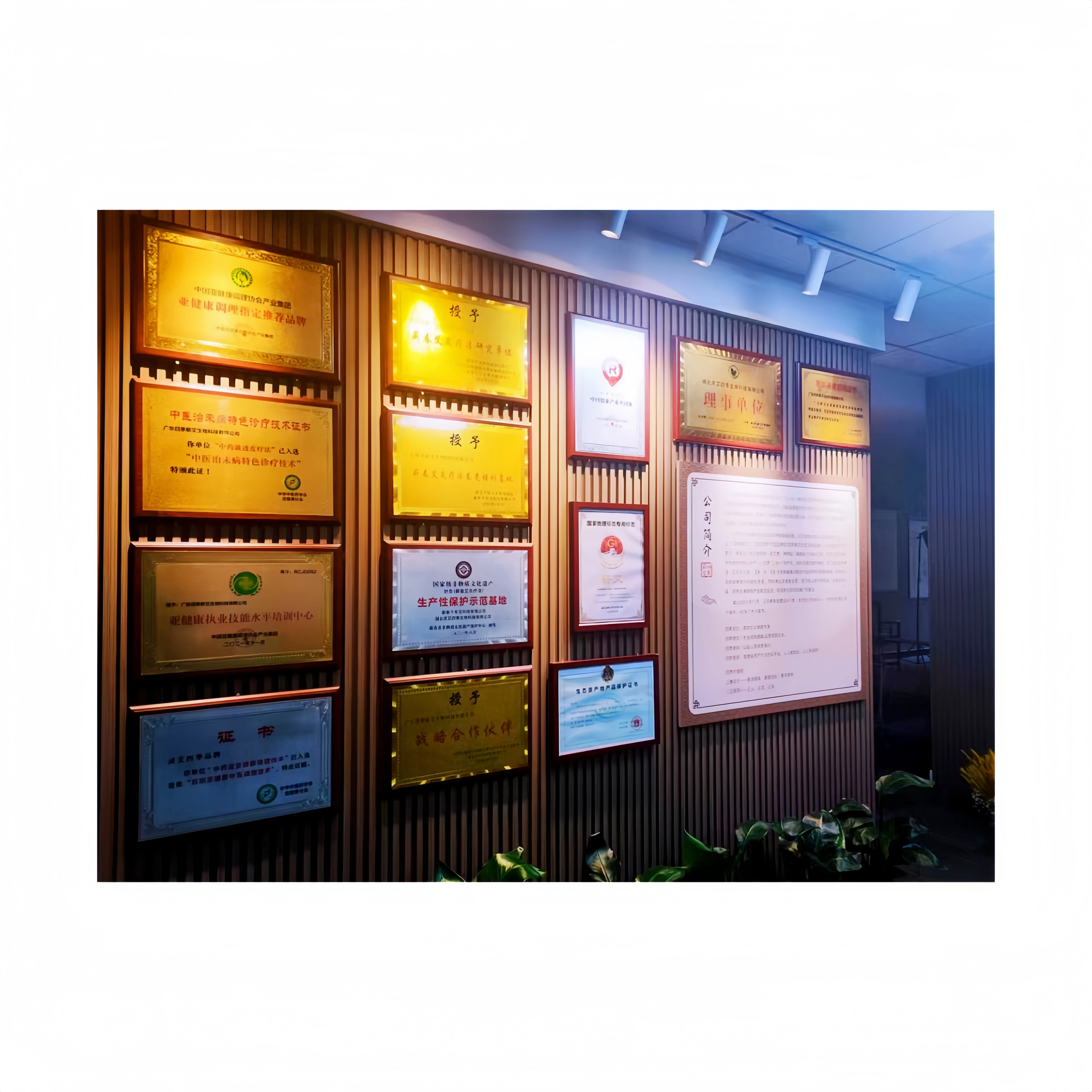 LING AI SI JI, the first moxibustion brand in China, is recruiting exclusive agents and partners for the international market